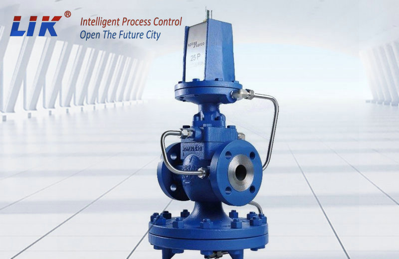 �M���Ȍ���Ĥʽ�����p���y